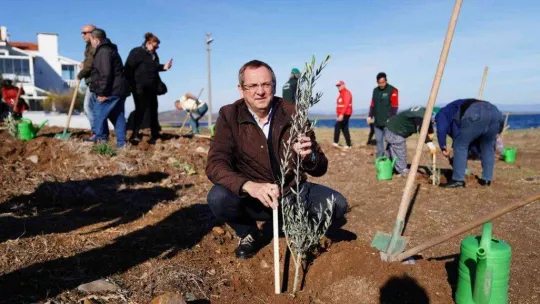 Dünya Zeytin Ağacı Günü'nde zeytin diktiler