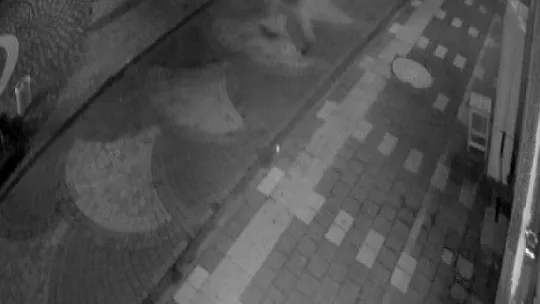 Düzce depremi Sakarya'yı böyle sallamış