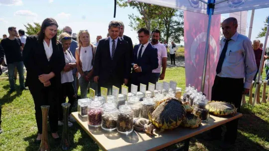 Edirne, çeltik üretiminde  Türkiye'de öncü