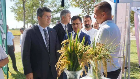 Edirne, çeltik üretiminde  Türkiye'de öncü