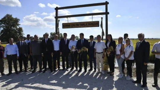 Edirne, çeltik üretiminde  Türkiye'de öncü