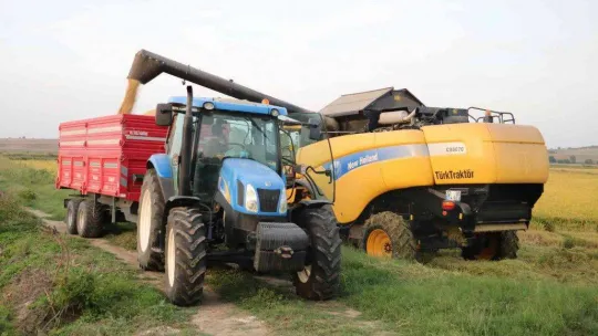 Edirne'de beyaz altın çeltik hasadı başladı