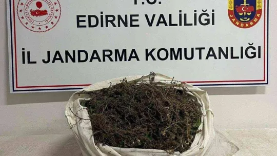 Edirne'de jandarma ekipleri uyuşturucuya geçit vermiyor