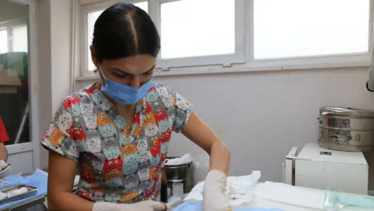 Edremit Belediyesi 7/24 sokak hayvanlarının yanında