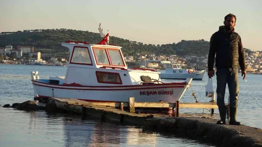 Edremit Körfezi'nde köpek balığı paniği