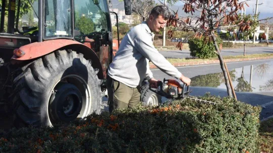Edremit'te sonbahar çalışmaları devam ediyor