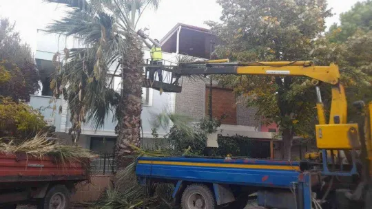 Edremit'te sonbahar çalışmaları devam ediyor