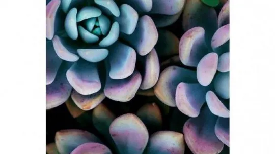 Elif Koyutürk, 'Saf ve Güzel' isimli yeni seçkisiyle, SanatBurada'da