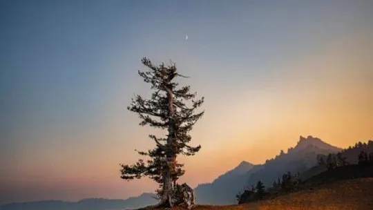 Elif Koyutürk, 'Saf ve Güzel' isimli yeni seçkisiyle, SanatBurada'da