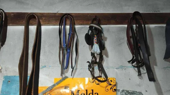 Elli yıl öncesinin en gözde mesleğiydi, şehirde bir tek o kaldı