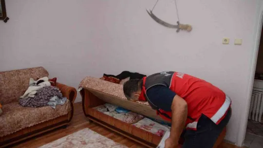 Emniyet'ten 'Kökünü Kurutma Operasyonu'