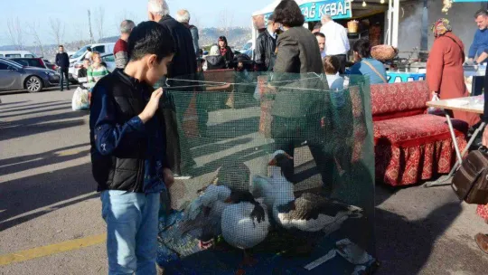 En güzel kazın piştiği festival
