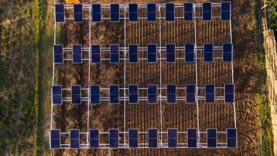 EnerjiSA Üretim, Komşuköy iş birliğiyle agrivoltaik tarıma başlıyor