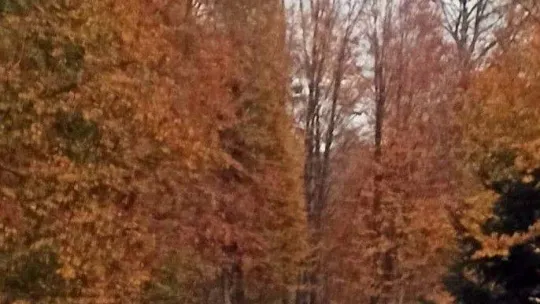 Erdal Sakız cinayetinde şok detay