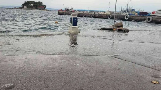 Erdek'te lodosta deniz anaları sahile vurdu