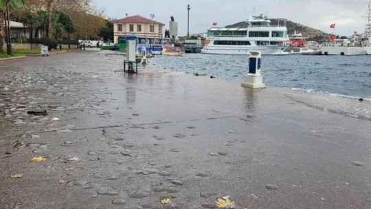 Erdek'te lodosta deniz anaları sahile vurdu