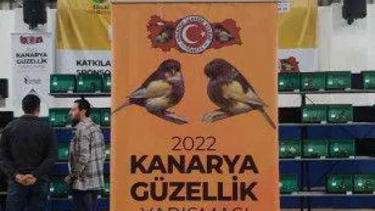 Esenler'de kanaryalar güzellikleriyle yarıştı