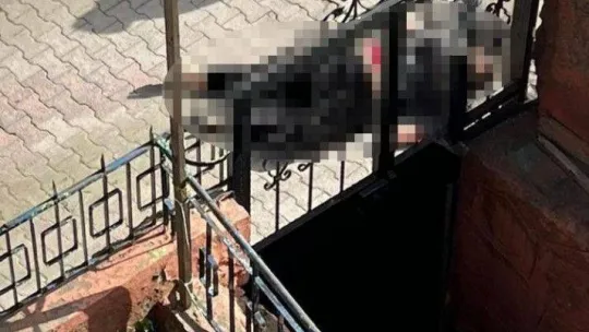 Eşini öldüren sanıktan enteresan savunma