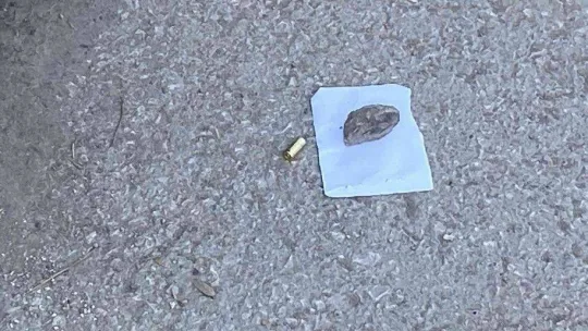 Eski koca terörü: Eski karısı ve yeni kocasına defalarca ateş etti