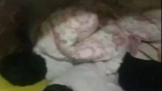 Ev sahibinin kiracıya yaptıkları pes dedirtti