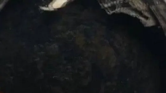 Ev sahibinin kiracıya yaptıkları pes dedirtti