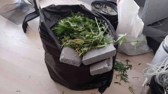 Ev terası değil uyuşturucu serası