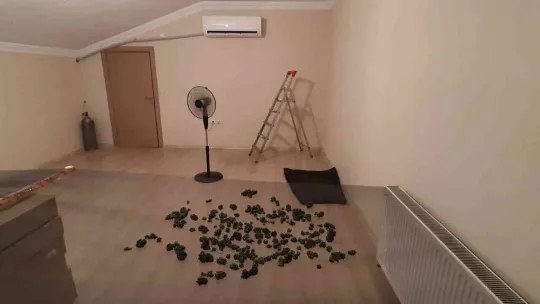 Ev terası değil uyuşturucu serası