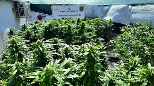 Ev terası değil uyuşturucu serası