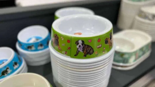 Evcil hayvan bakımı da pahalandı