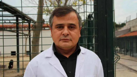 Evcil hayvan sahipleri dikkat, son 2 gün