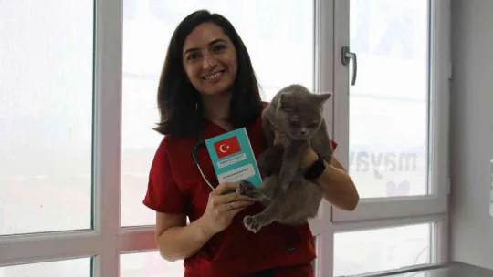 Evcil hayvanlara çip zorunluluğunda son gün yoğunluğu