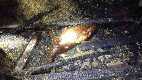 Evde çıkan yangın ahır ve samanlığa sıçrayınca 7 küçükbaş hayvan telef oldu