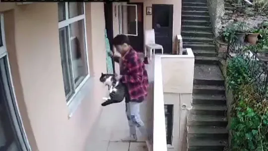 Evden kaçan kediyi acımasızca yumrukladı, o anlar kamerada