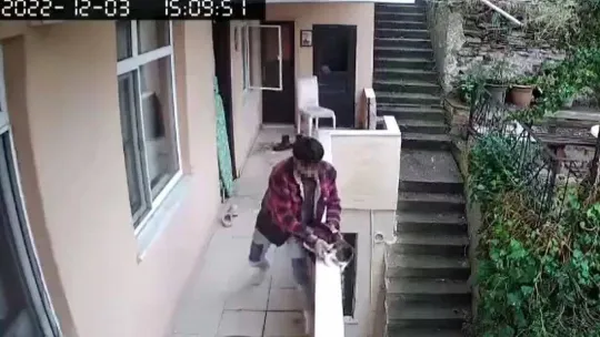 Evden kaçan kediyi acımasızca yumrukladı, o anlar kamerada