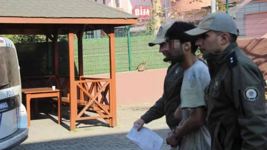 Evden kaçan kediyi acımasızca yumrukladı, o anlar kamerada