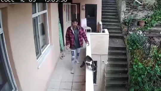 Evden kaçan kediyi acımasızca yumrukladı, o anlar kamerada