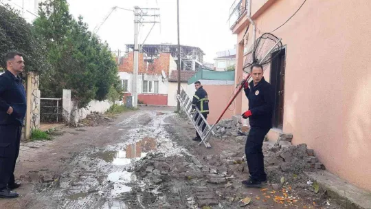 Evden kaçan yavru Rus kedisi, 2 gün ağaçta mahsur kaldı