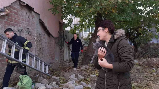 Evden kaçan yavru Rus kedisi, 2 gün ağaçta mahsur kaldı