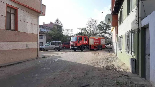 Evden kaçan yavru Rus kedisi, 2 gün ağaçta mahsur kaldı