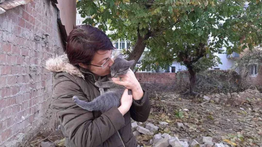 Evden kaçan yavru Rus kedisi, 2 gün ağaçta mahsur kaldı