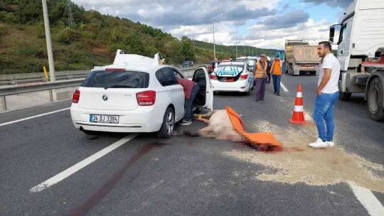 Eyüpsultan'da lüks araç yola çıkan ata çarptı: 1 yaralı