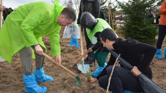 Silivri'de fidanlar toprakla buluştu