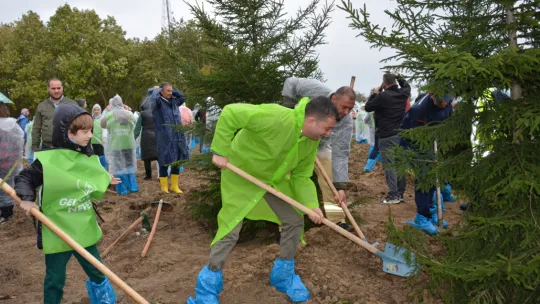 Silivri'de fidanlar toprakla buluştu