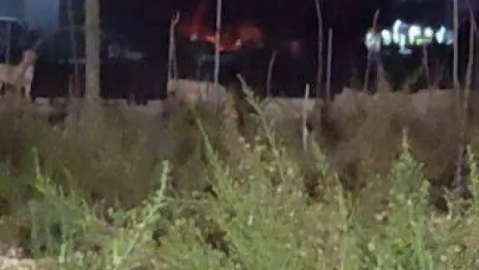 Fabrikanın bacası alev aldı, faciadan dönüldü