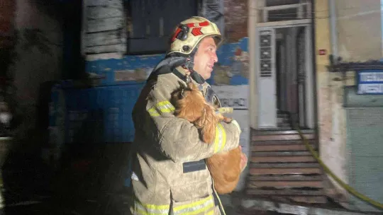 Fatih'te 3 katlı ahşap metruk bina alev alev yandı: Bodrum katında bulunan 2 köpeği itfaiye ekipleri kurtardı