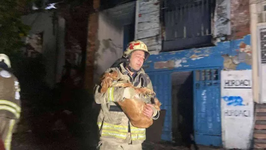 Fatih'te 3 katlı ahşap metruk bina alev alev yandı: Bodrum katında bulunan 2 köpeği itfaiye ekipleri kurtardı