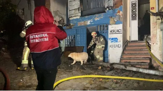 Fatih'te 3 katlı ahşap metruk bina alev alev yandı: Bodrum katında bulunan 2 köpeği itfaiye ekipleri kurtardı