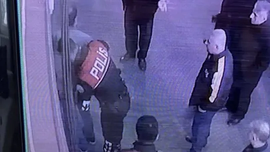 Fatih'te 8 aylık süs köpeğine bıçak darbesi