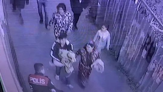 Fatih'te 8 aylık süs köpeğine bıçak darbesi