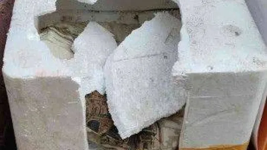 Fatih'te kedinin yuvasını yumruklayarak parçalayan şüpheli güvenlik kamerasında